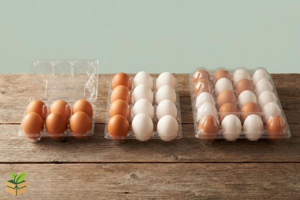 Egg Tray Sizes: 6, 12 & 30 Eggs — Which One Should You Choose?